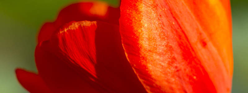 Bactrim has actually been grouped as FDA maternity group C, which implies it is not known for certain whether this medicine is going to impact the wellness of your unborn baby or otherwise.